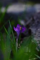 Notre zone d'activité pour ce service Meilleur complément alimentaire contre la chute des cheveux avec efficacité prouvée